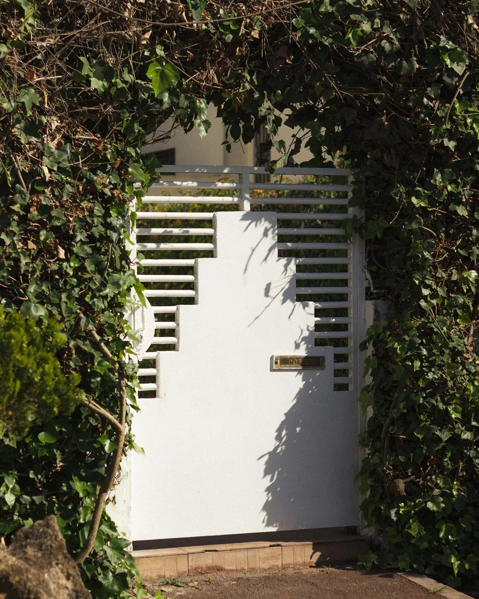 A white metal gate framed by dense green ivy in a sunny garden setting.